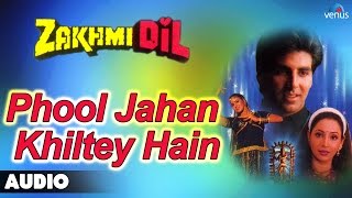 Zakhmi Dil : Phool Jahan Khiltey Hain Full Audio S