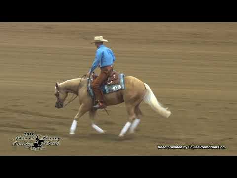 Smart Ebony Spook ridden by Nathan Piper  - 2018 NRBC (Open Prelims)