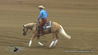 Smart Ebony Spook ridden by Nathan Piper  - 2018 NRBC (Open Prelims)