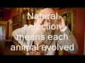 Horrible Histories: Charles Darwin Natural ...