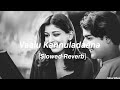 Vaalu Kannuladaana Slowed Reverb Premikula Roju