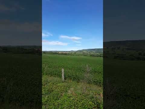 Chegando em Aloandia-GO Brasil.