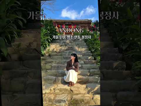 실시간 봉정사에 물든 가을 단풍 구경하고 오세요