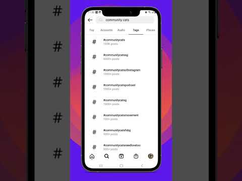 Top Hashtags For Cats on Instagram in 2023.