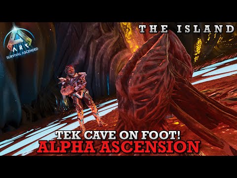 Defeating ALPHA Tek Cave & Overseer SOLO With ZERO Tames! | Ark Survival Ascended