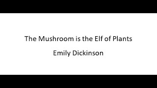 The Mushroom is the Elf of Plants - Emily Dickinson