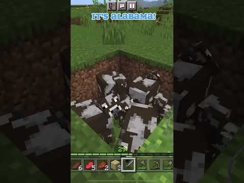 The Ghost Dogs - Funny Minecraft Enchantment Table #minecraft #meme #funny