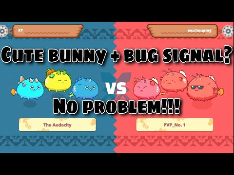 How to counter Cute Bunny and Bug Signal Strat | Axie Infinity