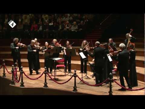 Vivaldi  Concert voor strijkers RV 156 - HD Live Concert -  Concerto Köln - Concertgebouw Amsterdam
