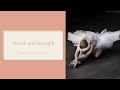 Ballet Class Stretch And Strength Zoom Recording 2 2 2021 Angelina Jandolo Dance