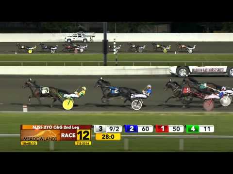 New Jersey Sire Stakes - Dealt A Winner - July 5, 2014