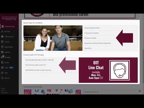 Tamiu Blackboard Base Navigation Student Orientation