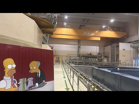 Atomkraft auf dem Vormarsch - außer in Österreich