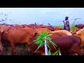 MIKOMA EP 9 By Mahakama Videos 2025