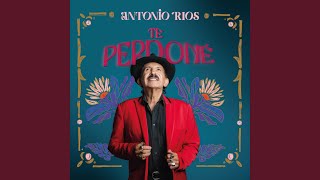 Te Perdoné Lyrics English Translation