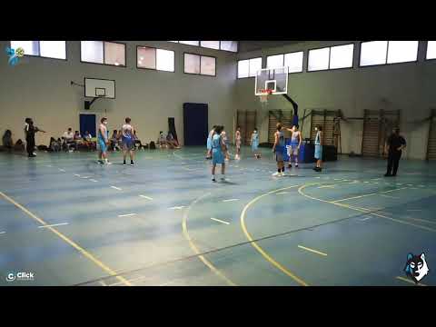 PREINFANTIL MASCULINO : CB 7 Palmas - CD Loyola