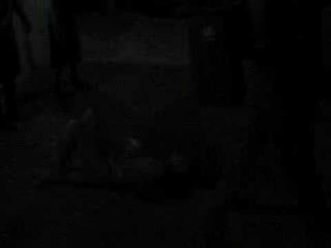 Drama riba hopi model..Carlos a kibra konjo hermano