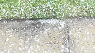 preview picture of video 'Brompton on Swale, North Yorkshire - Hailstones & Thunderstorm 30/6/12'