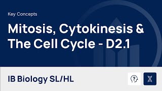 Mitosis, Cytokinesis & The Cell Cycle [IB Biology SL/HL]
