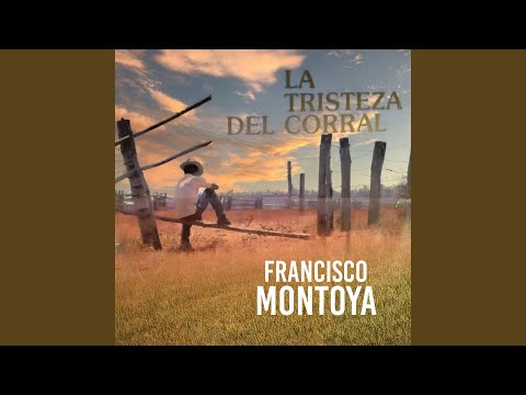 Me Vine Arrendando Un Potro