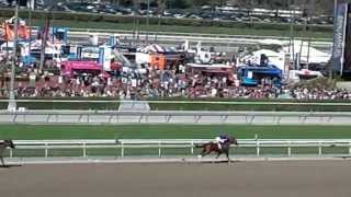 preview picture of video '2014 Santa Anita Derby- Stretch'