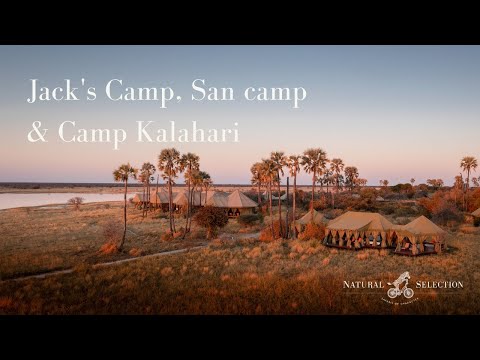 Jack's Camp, San Camp & Camp Kalahari - Botswana