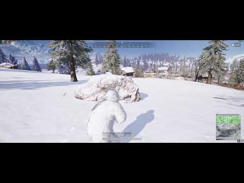 Don't mess with the Yeti