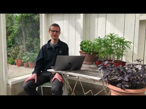 Bhagavad gitan jooga