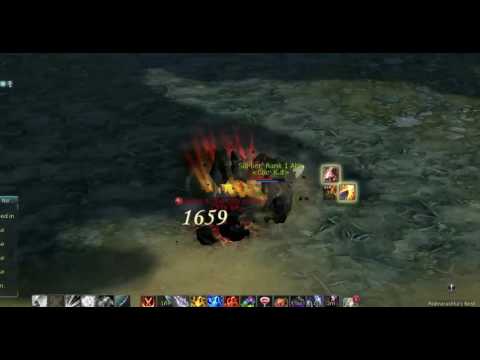 !aion 5.3 gladiator pvp