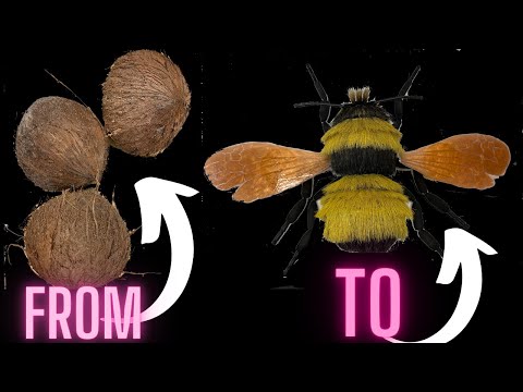 I Made a Big Furry Bumblebee out of Coconuts and Brushes!