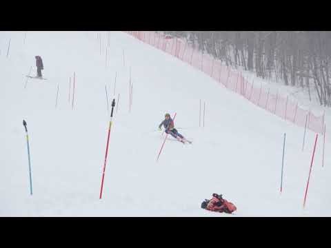 190118 Pico SL R2 CMAT