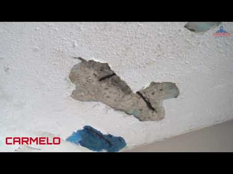 Corrosion Inhibitor Repair Mortar for Reinforced Concrete Structures