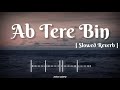 Ab Tere Bin Jilege Hum Slowed Reverb Song Aashiqui Kumar Sanu Rahul Roy Annu Agarwal