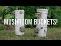 How To Grow Mushrooms In Buckets A Step By Step Guide