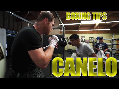 Canelo Giving Defensive Tips To Joselito Velazquez