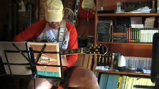 Rollerskating Child - Beach Boys Cover