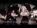 ~A tomboy in an all alpha school~ | GLMM - Gacha Life Mini Movie || PLEASE READ DESC.! | Gacha_Ibex