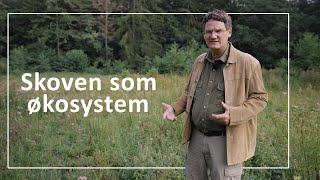Skoven som økosystem // Græsning og vand giver dynamik, variation og plads til s