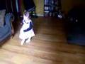 Angelina Ballerina