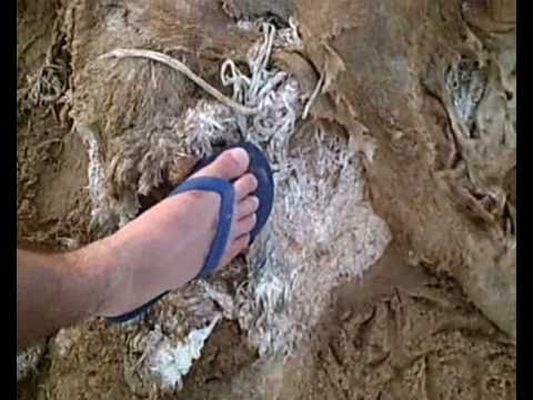 Índios do ano 7000 - fábula Andrícia