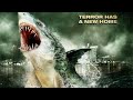 Swamp Shark Music Video