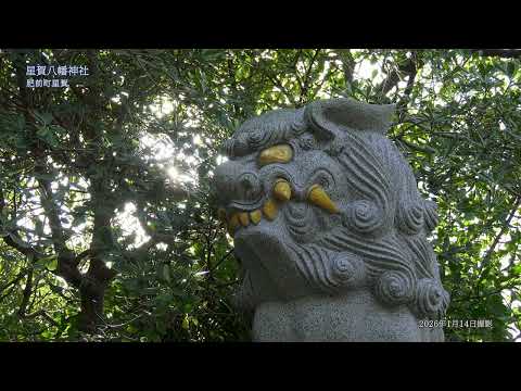 【【佐賀県唐津市の風景：4K】星賀八幡神社 (令和8年1月14日撮影：肥前町星賀）