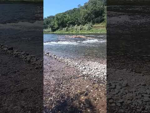 Río Tercero - Córdoba- Argentina
