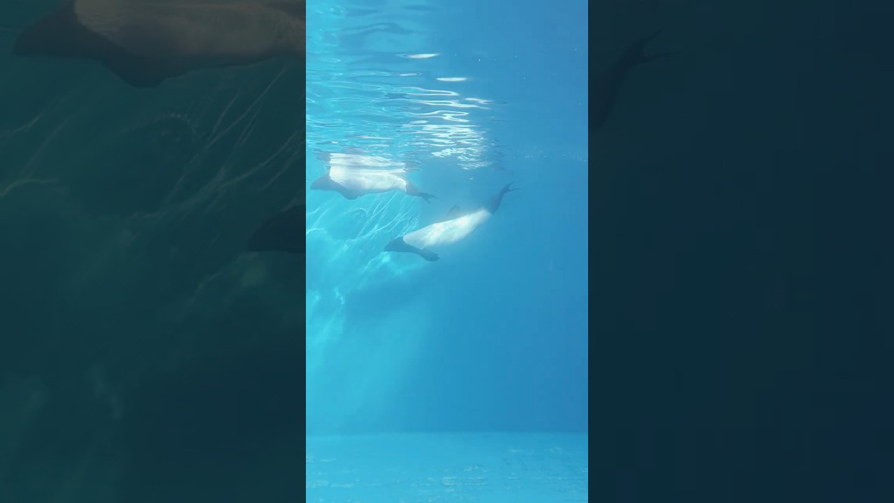 Anywhere with you, into the deep