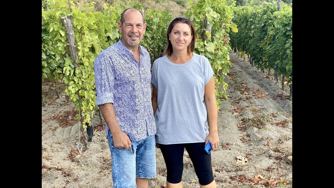 Cenatiempo vini di Ischia