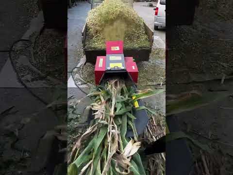 Small Chaff Cutter Agriculture Straw Grass Chopping Machine Cattle Goat Pig Feed Forage Chopper