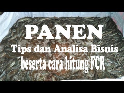Apakah impotensi menyembuhkan Obat untuk meningkatkan potensi pada pria