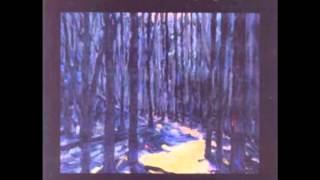 The Album Leaf - Wander