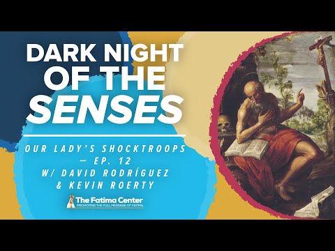 Dark Night of the Senses | Our Lady's Shocktroops Ep. 12