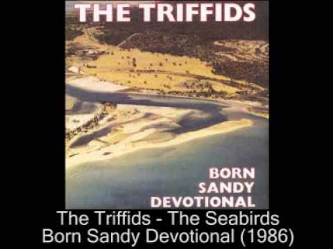 The Triffids - The Seabirds (1986)
